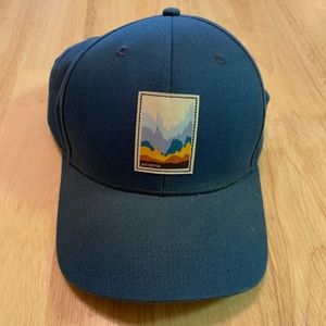 Patagonia Blue Baseball Cap